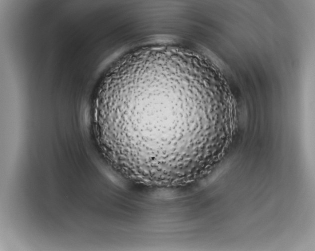 X0000113760350200910071136