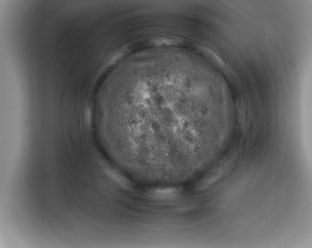 X0000113760357200910071136
