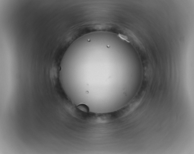 X0000113760368200910071136