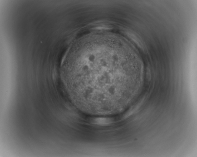 X0000113760371200910071136