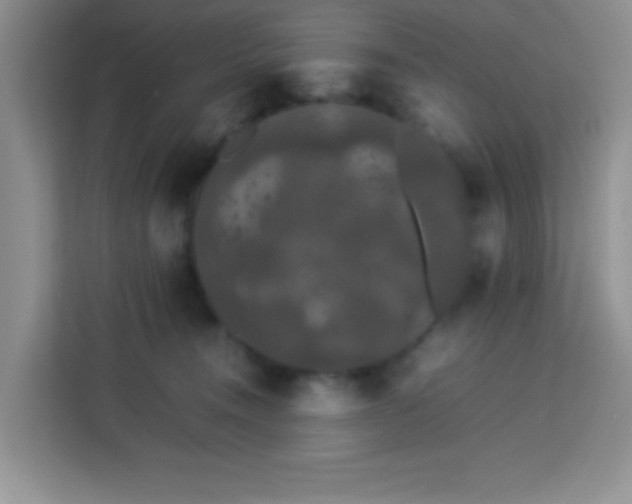 X0000113760372200910071136
