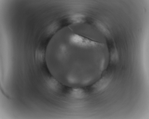 X0000113760376200910071136