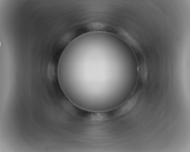 X0000113760378200910071136