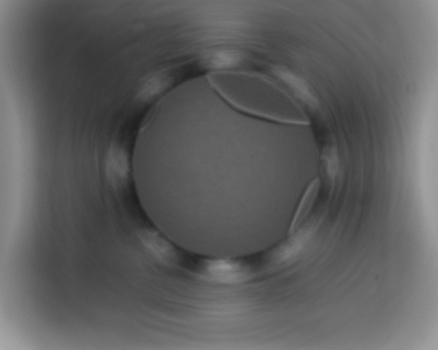 X0000113760380200910071136