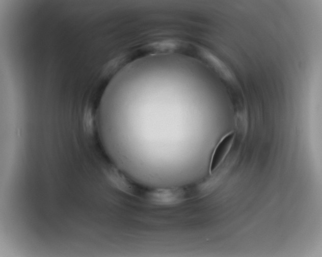 X0000113760381200910071136