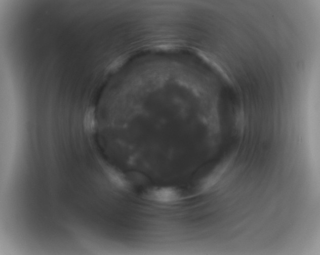 X0000113760383200910071136