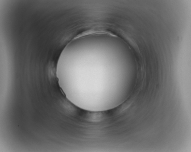 X0000113760384200910071136