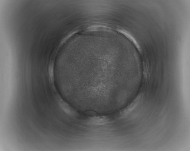 X0000113760386200910071136