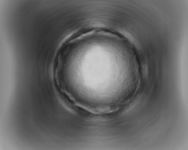 X0000113760390200910071136