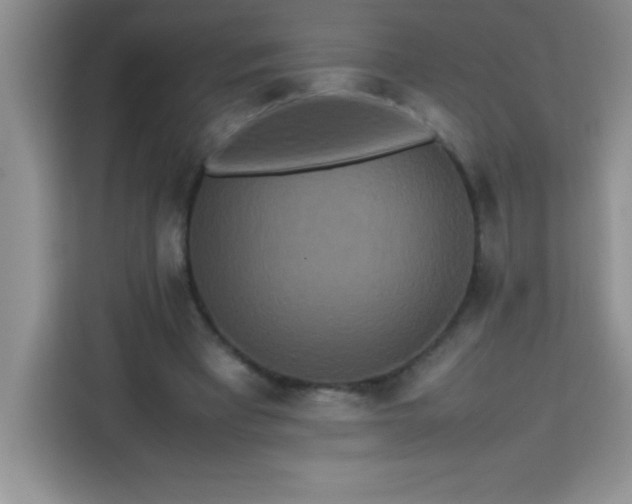 X0000113760393200910071136