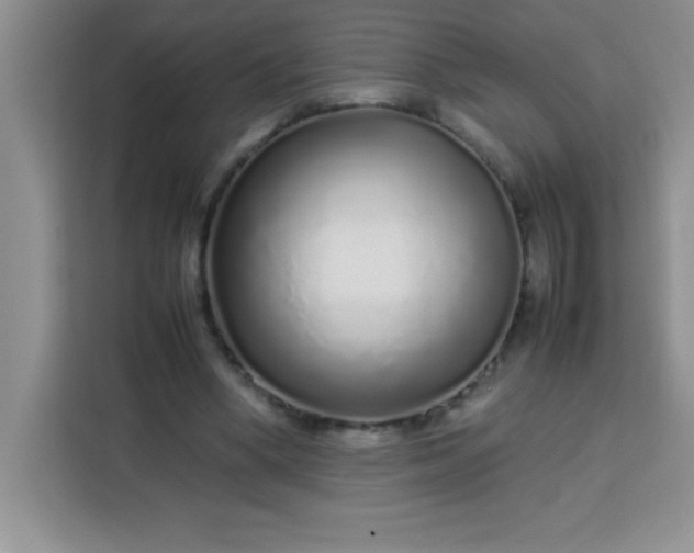 X0000113760394200910071136