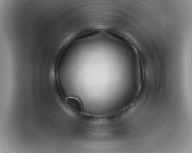 X0000113760398200910071136