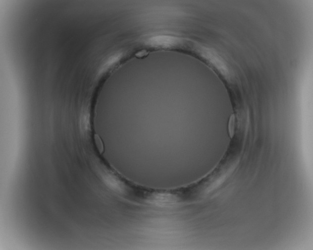X0000113760399200910071136
