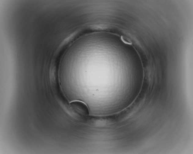 X0000113760400200910071136