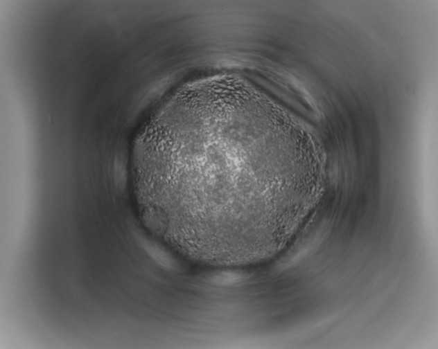 X0000113760402200910071136