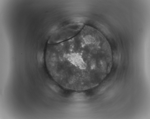 X0000113760403200910071136