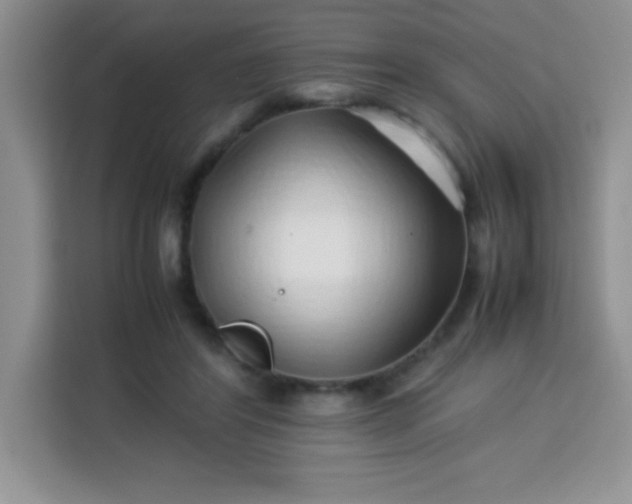 X0000113760404200910071136