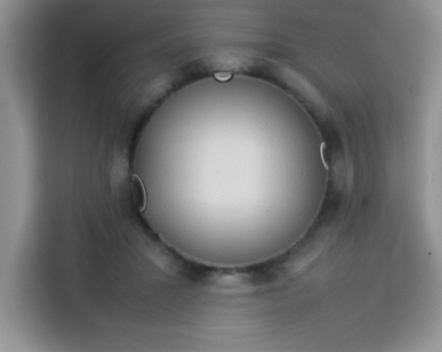X0000113760407200910071136