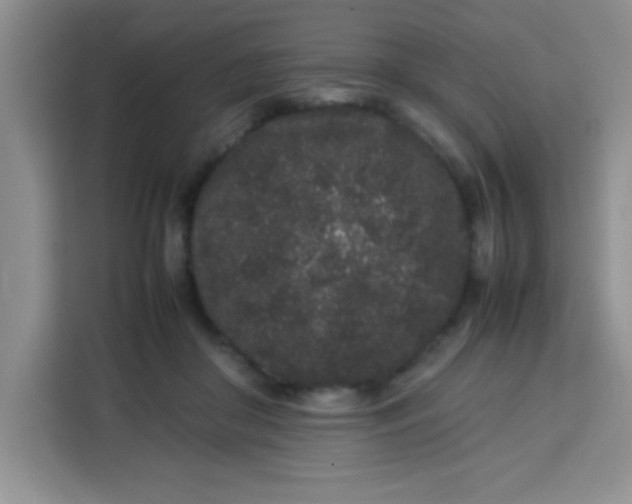 X0000113760410200910071136
