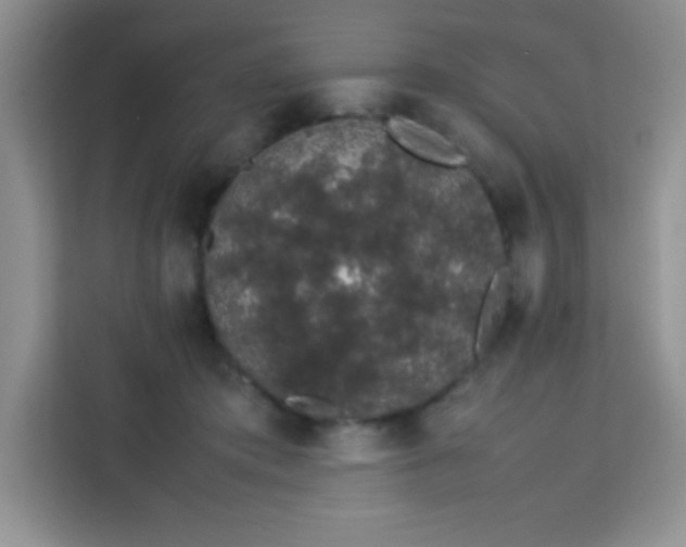 X0000113760413200910071136