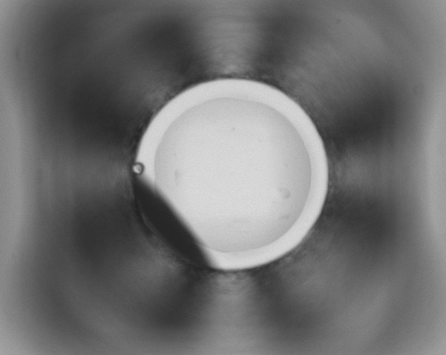 X0000113760415200910071135