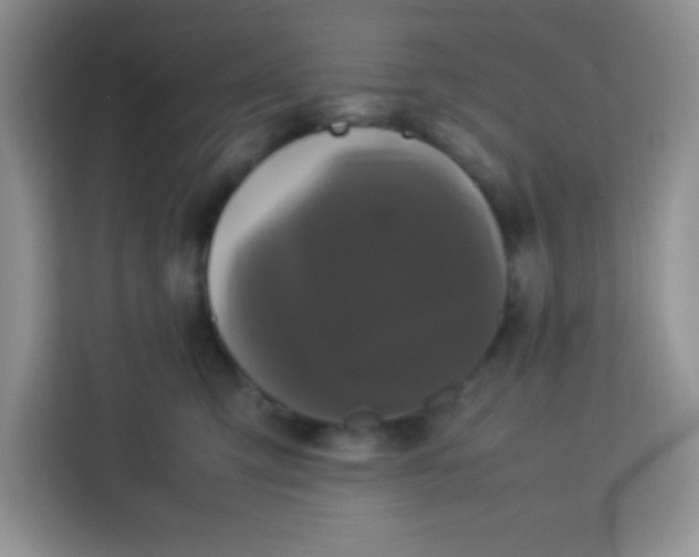 X0000113760423200910071135