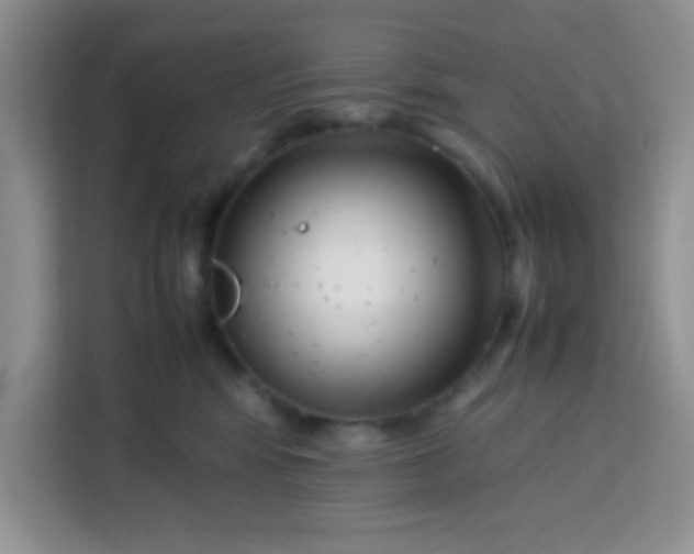 X0000113760424200910071135