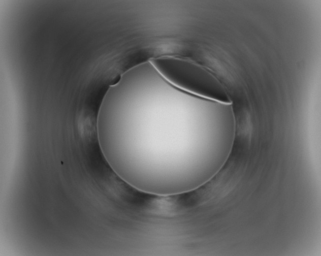 X0000113760425200910071135