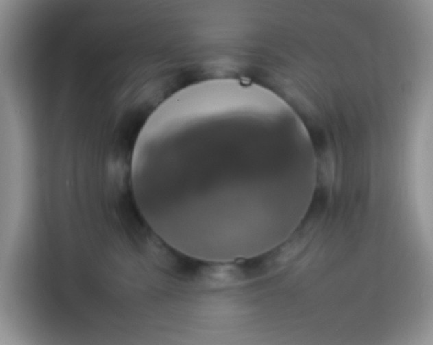 X0000113760427200910071135