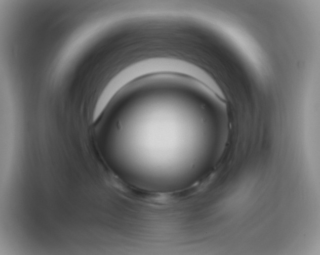 X0000113760431200910071135