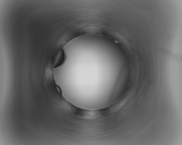 X0000113760432200910071135