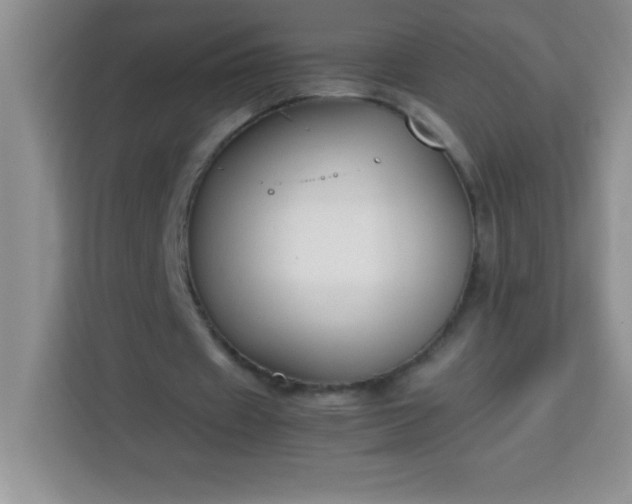 X0000113760433200910071135