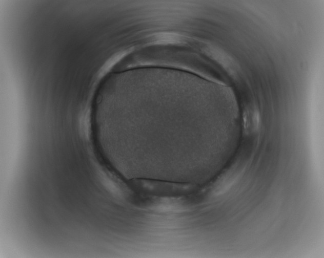 X0000113760436200910071135