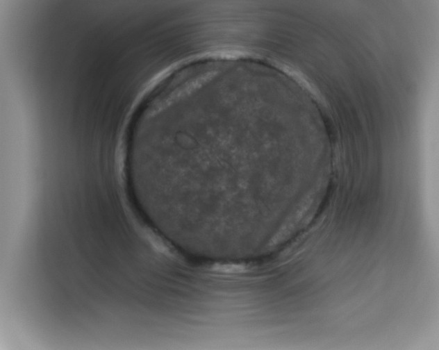 X0000113760440200910071135