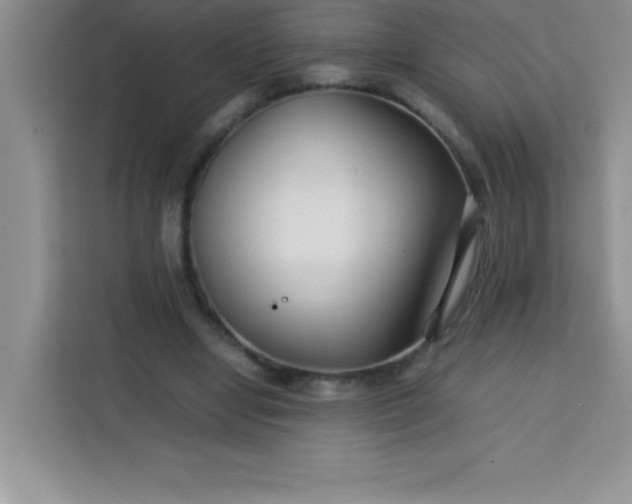 X0000113760442200910071135