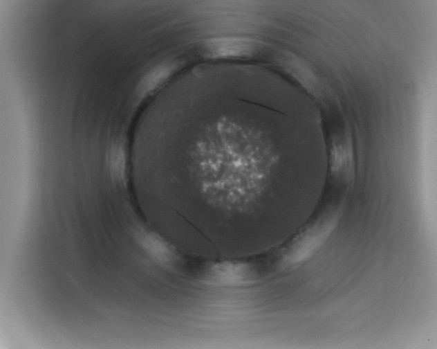 X0000113760444200910071135
