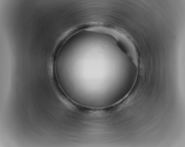 X0000113760446200910071135