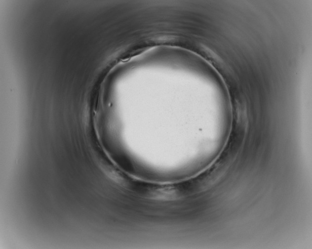 X0000113760447200910071135