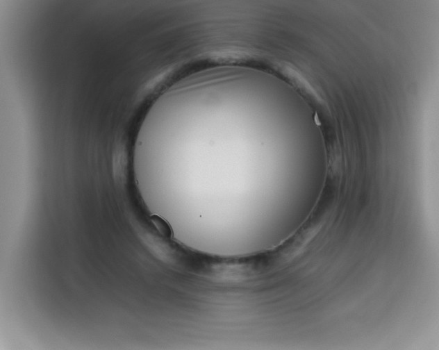 X0000113760448200910071135