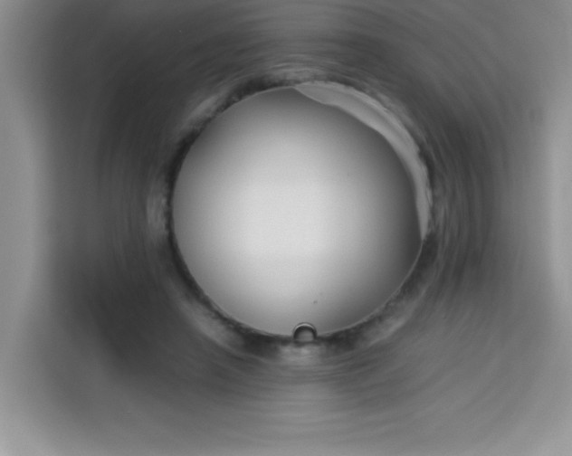 X0000113760450200910071135