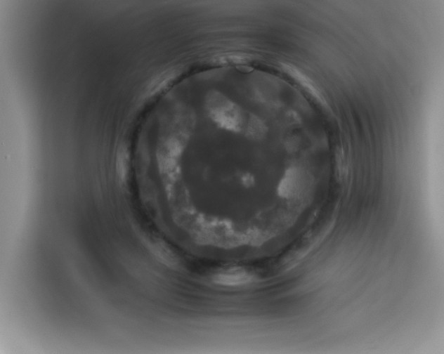 X0000113760451200910071135