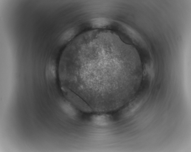 X0000113760452200910071135