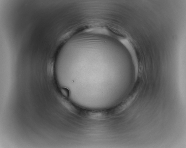 X0000113760454200910071135