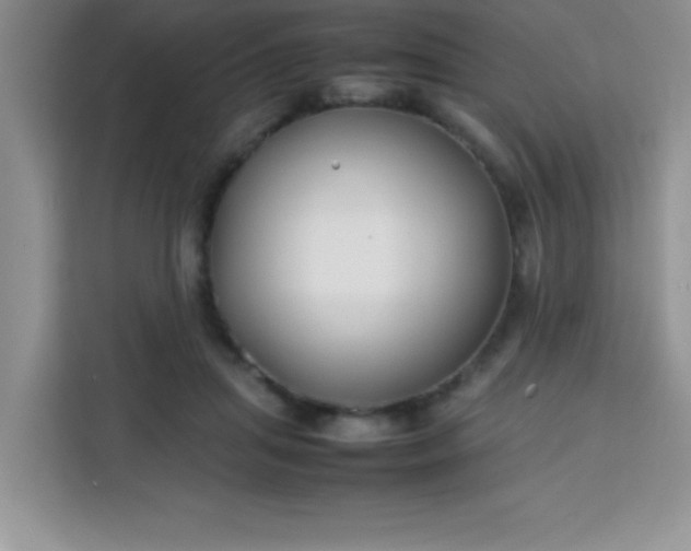 X0000113760455200910071135