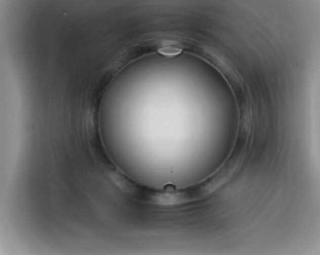 X0000113760461200910071135