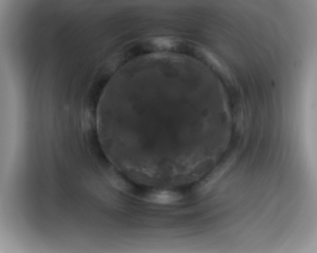 X0000113760467200910071135