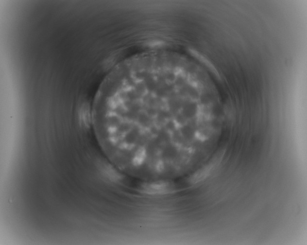 X0000113760479200910071135