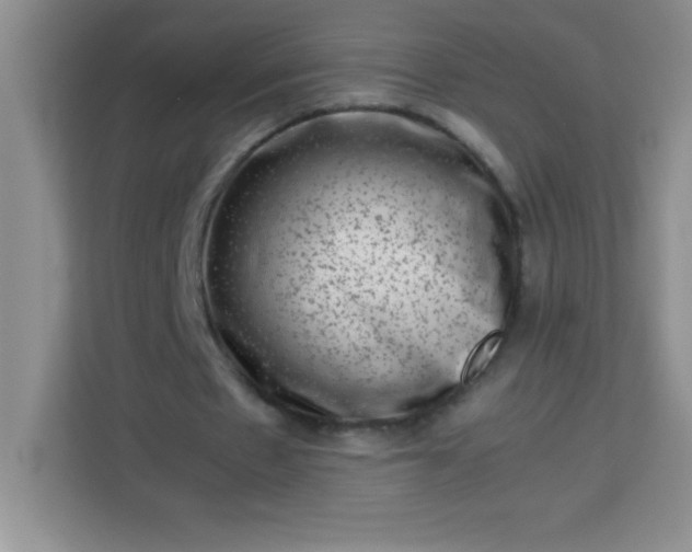 X0000113760481200910071135