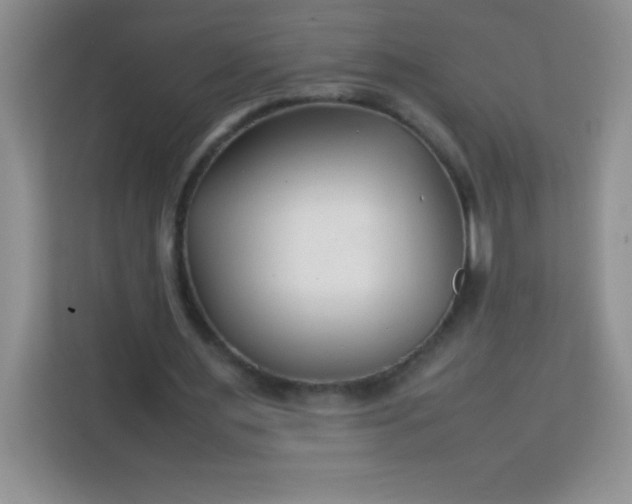 X0000113760483200910071135