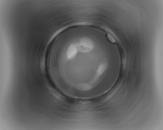 X0000113760484200910071135